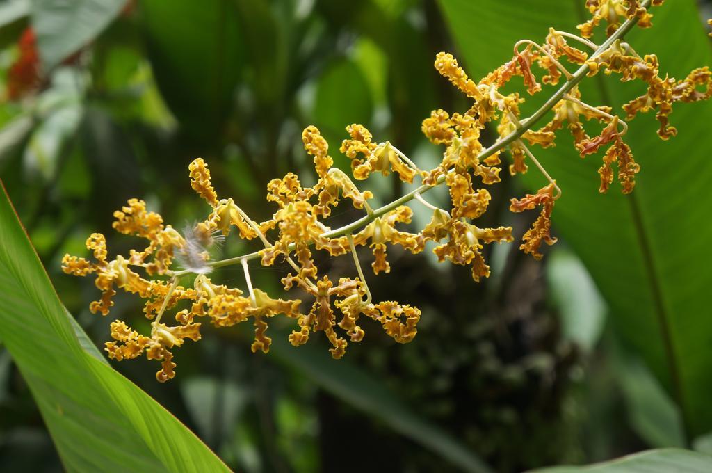 Raintree Lodge Port Moresby Ngoại thất bức ảnh